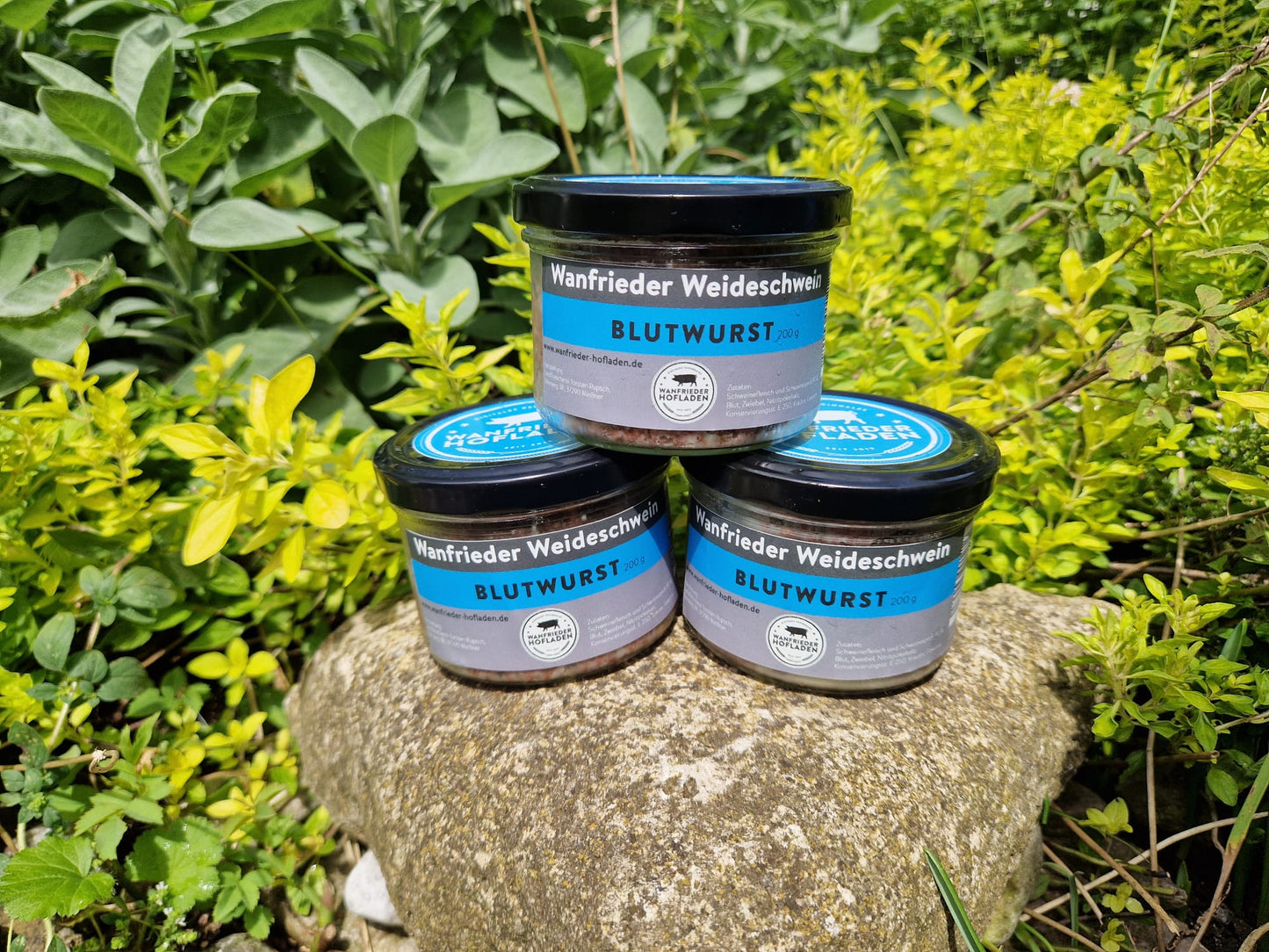 Hausgemachte Blutwurst im Glas – Traditioneller Genuss