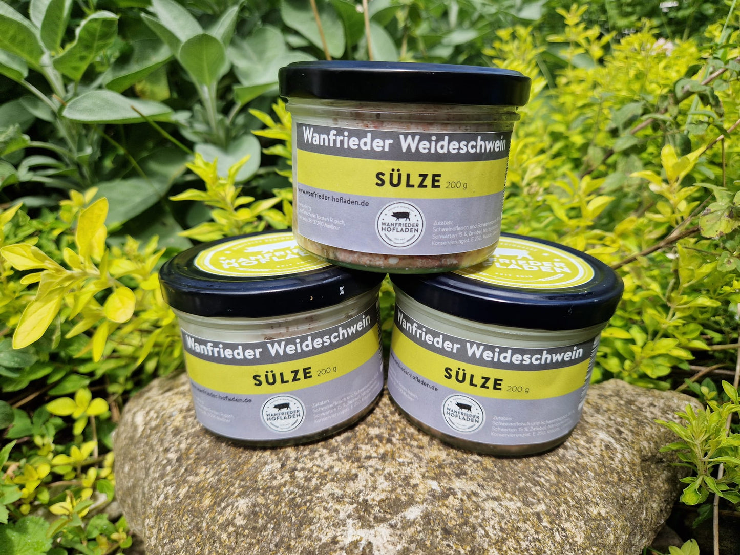 Hausgemachte Sülze im Glas – Traditioneller Genuss